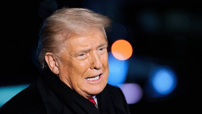 Donald Trump has criticized ICE shooting victim Alex Pretti for carrying a firearm when he was killed.MEGA