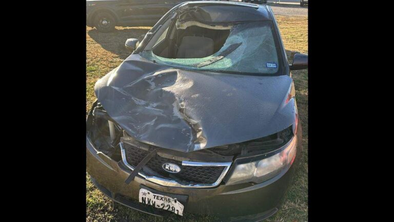 A pedestrian who was hit by this car Saturday night, Dec. 16, 2023, in Dallas crashed through the windshield and ended up dead in the passenger seat as the driver continued for over 30 miles before stopping in a Jack in the Box parking lot in White Settlement, police said. Submitted