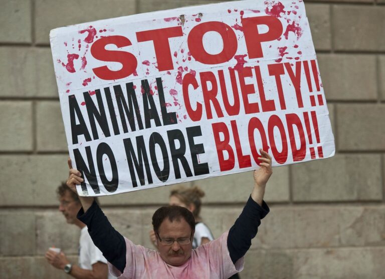 JTS_9869 Stop animal cruelty no more blood